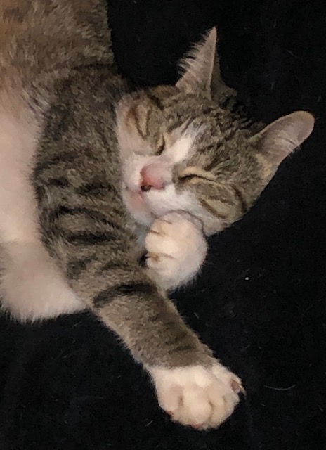 ... dun profond sommeil