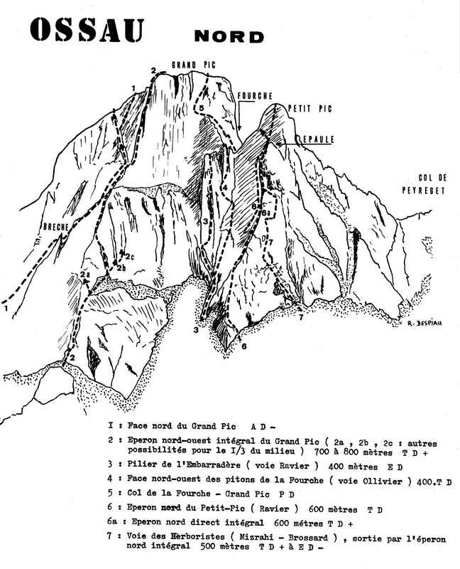 Ossau, versant Nord