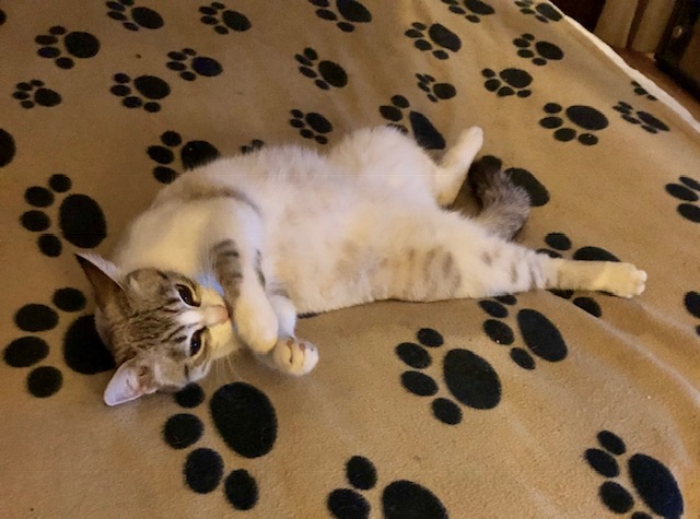 Maddie sait se relaxer !