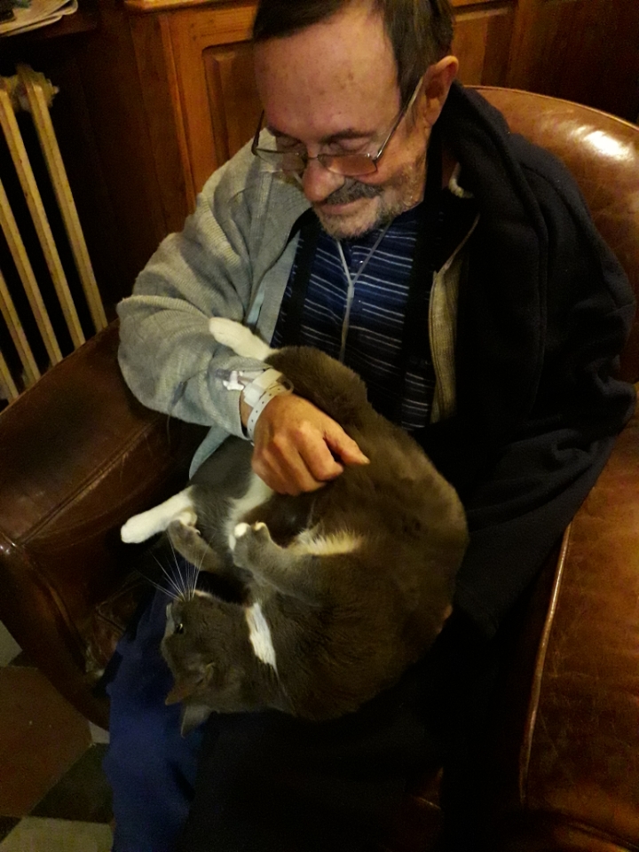 Chaussette vient se faire cliner par Franois 