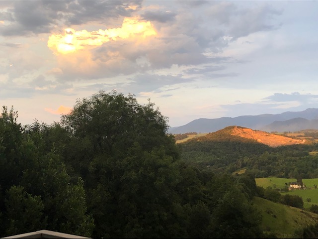 3CF0E283-F28A-4A4C-8521-42B01870B350.jpeg