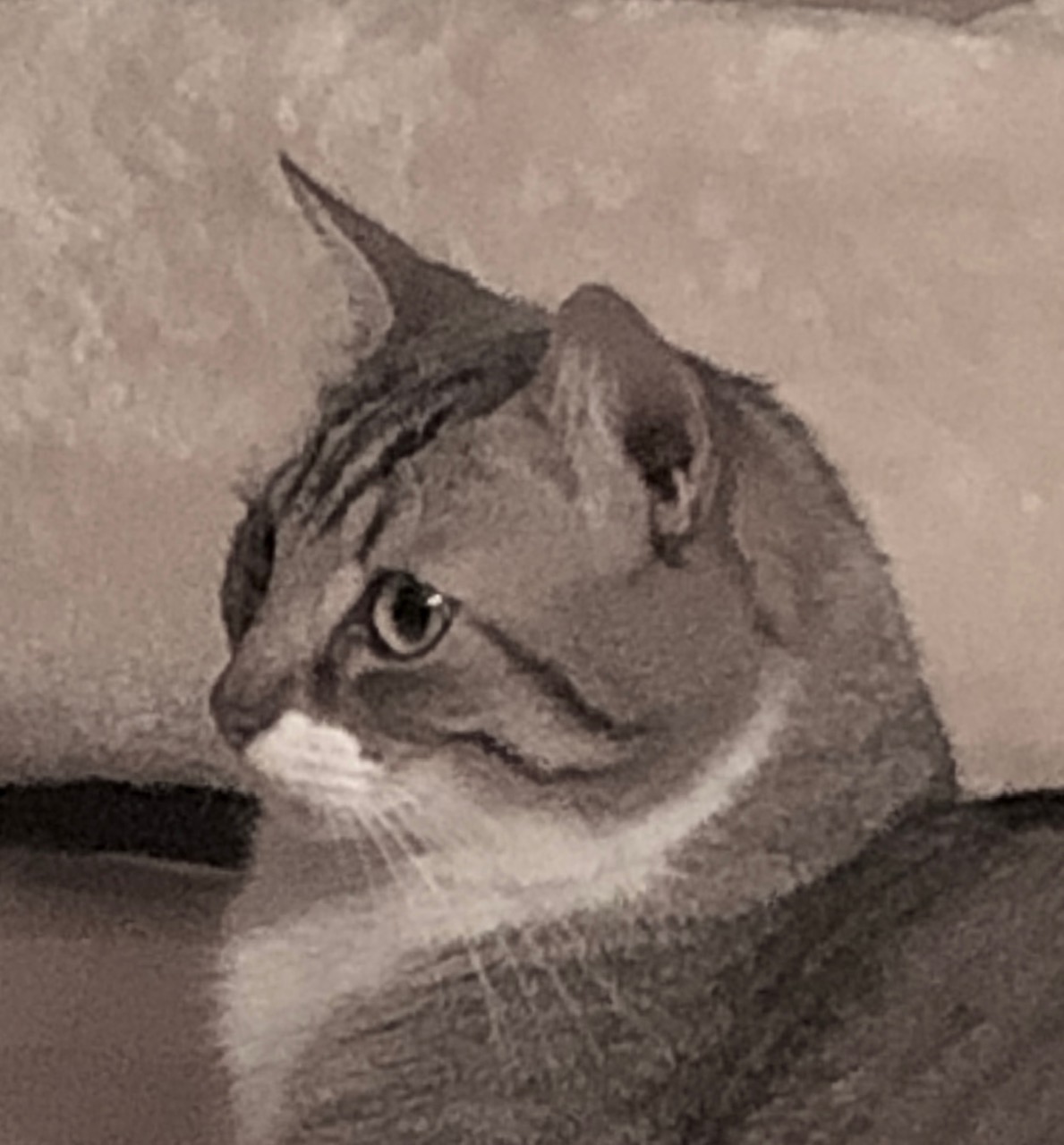 Mitsuki observe et se souvient
