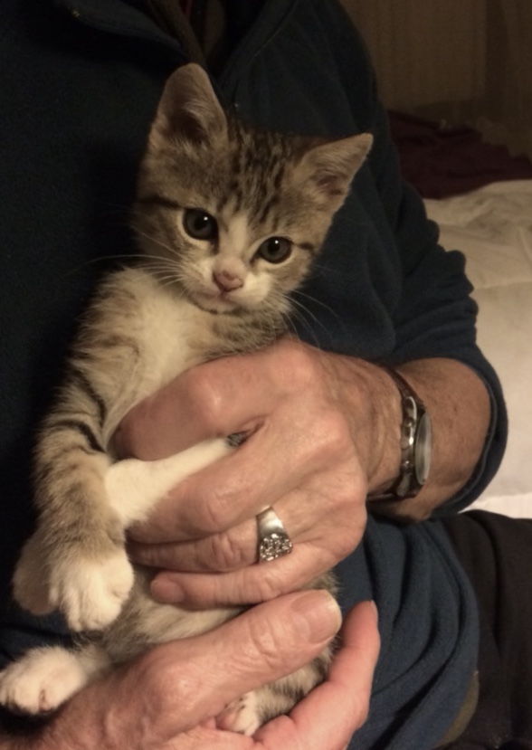 Nickie 3 mois et son papa