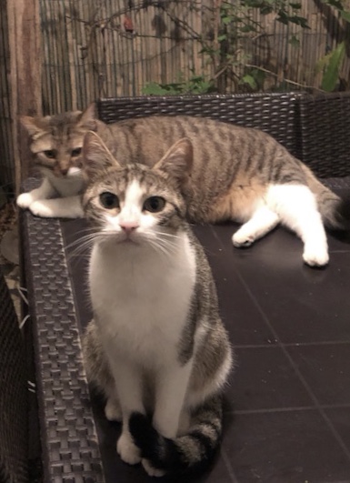 Lucie et Mitsuki 