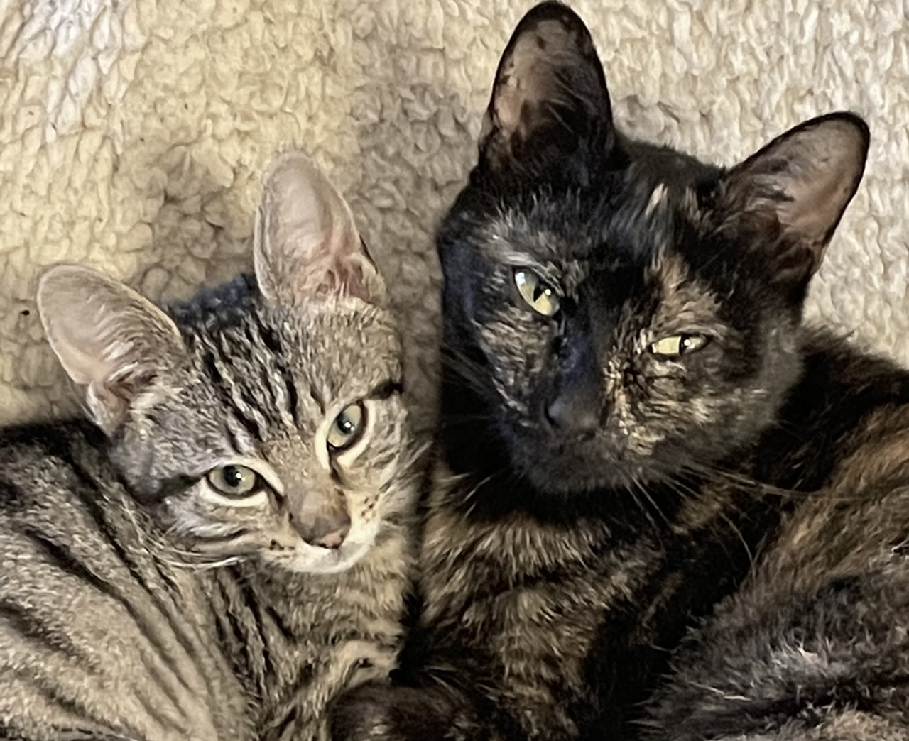 Sacha aime sa maman Inky