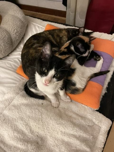 Inky avec Gaspouminou et Lonie