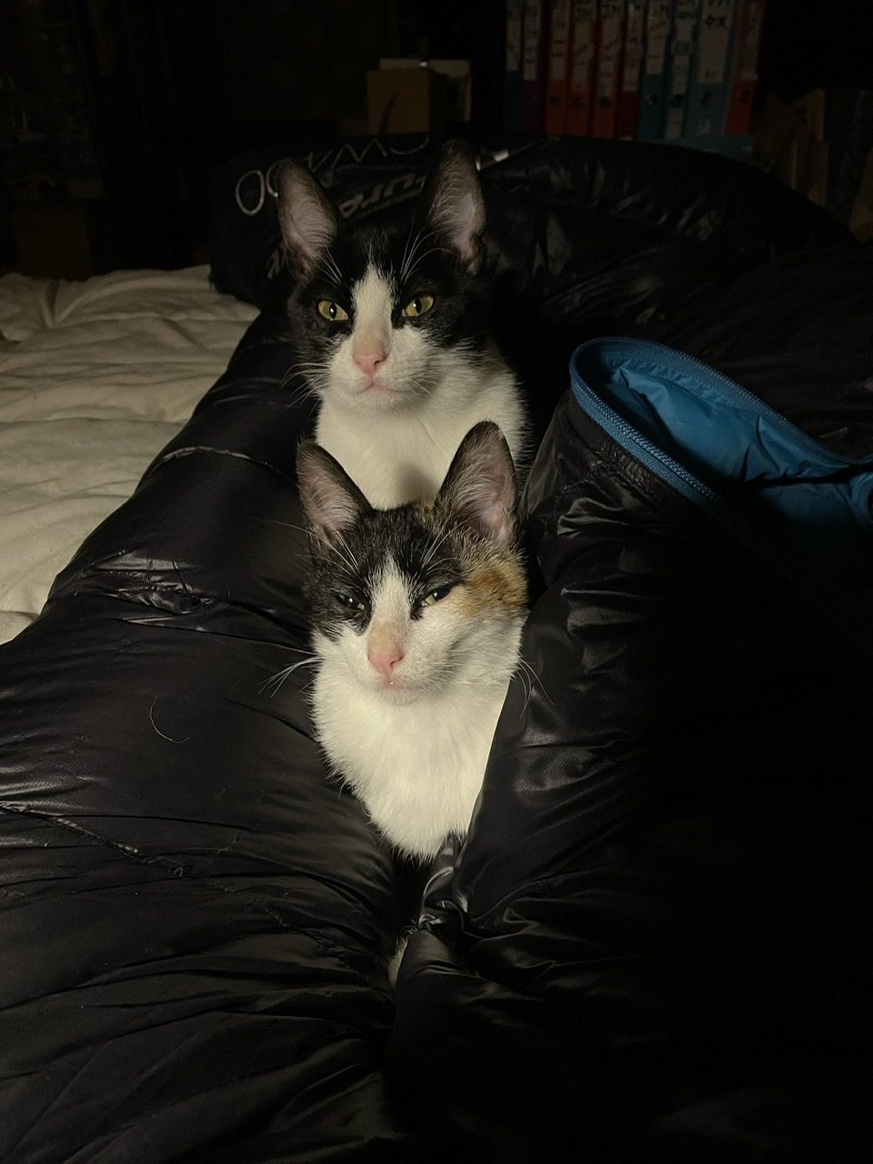 Leonie et Gaspouminou
