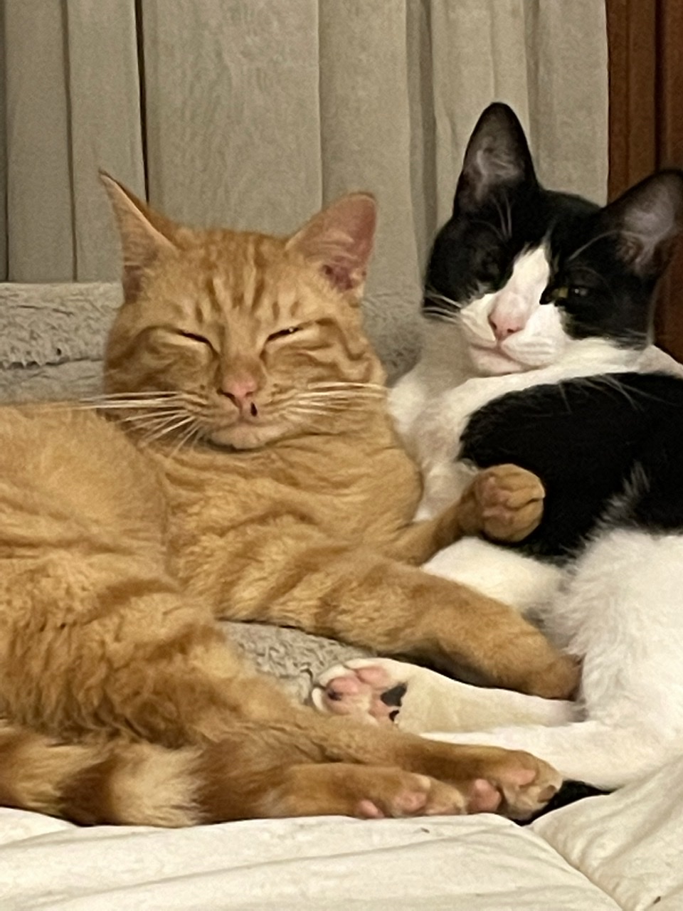Grand frre et Petit frre 