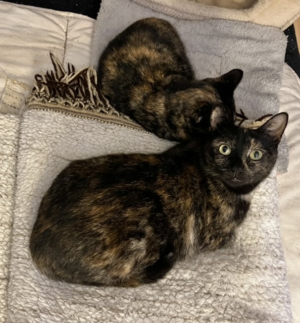 Inky et sa petite Iby, copie conforme