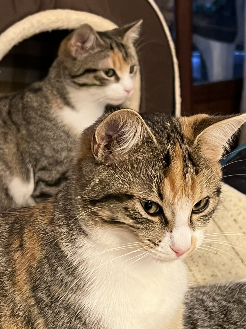 Les deux Ruby