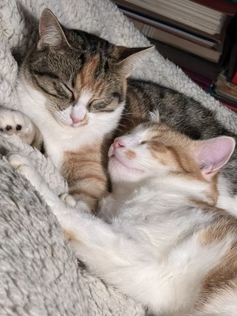 Louis et Rubyblanche