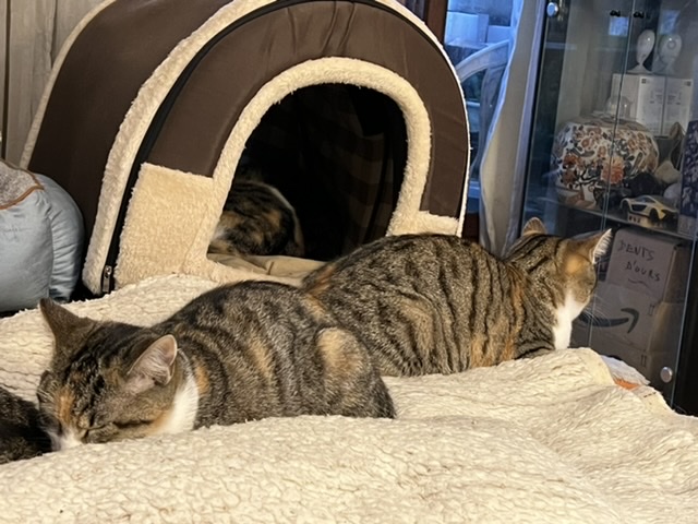 Les deux Ruby