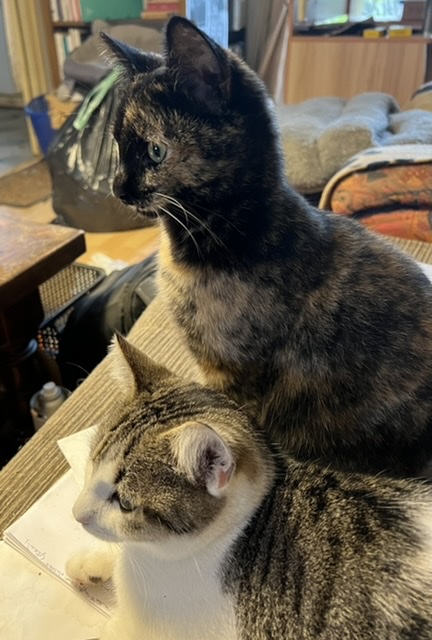 Iby et Marco regardent la pluie tomber