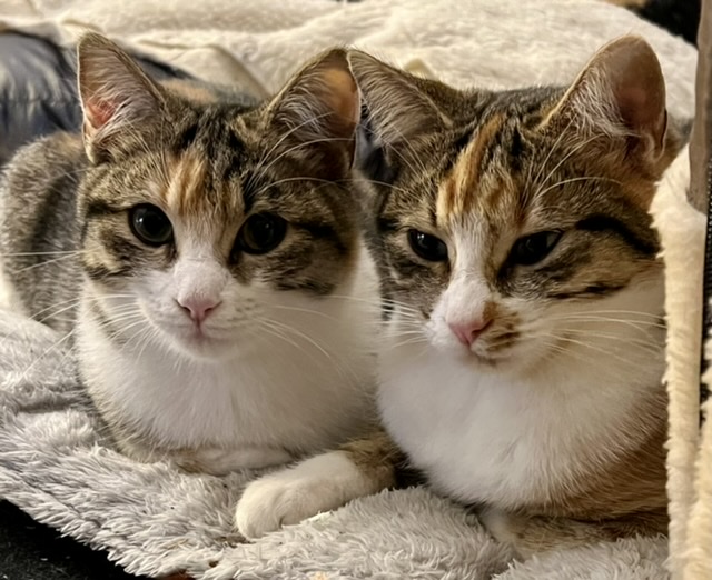 Les deux surs Ruby, retour dun dur voyage mais toujours ensemble