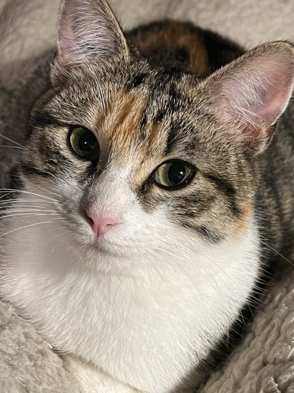 Rubyblanche