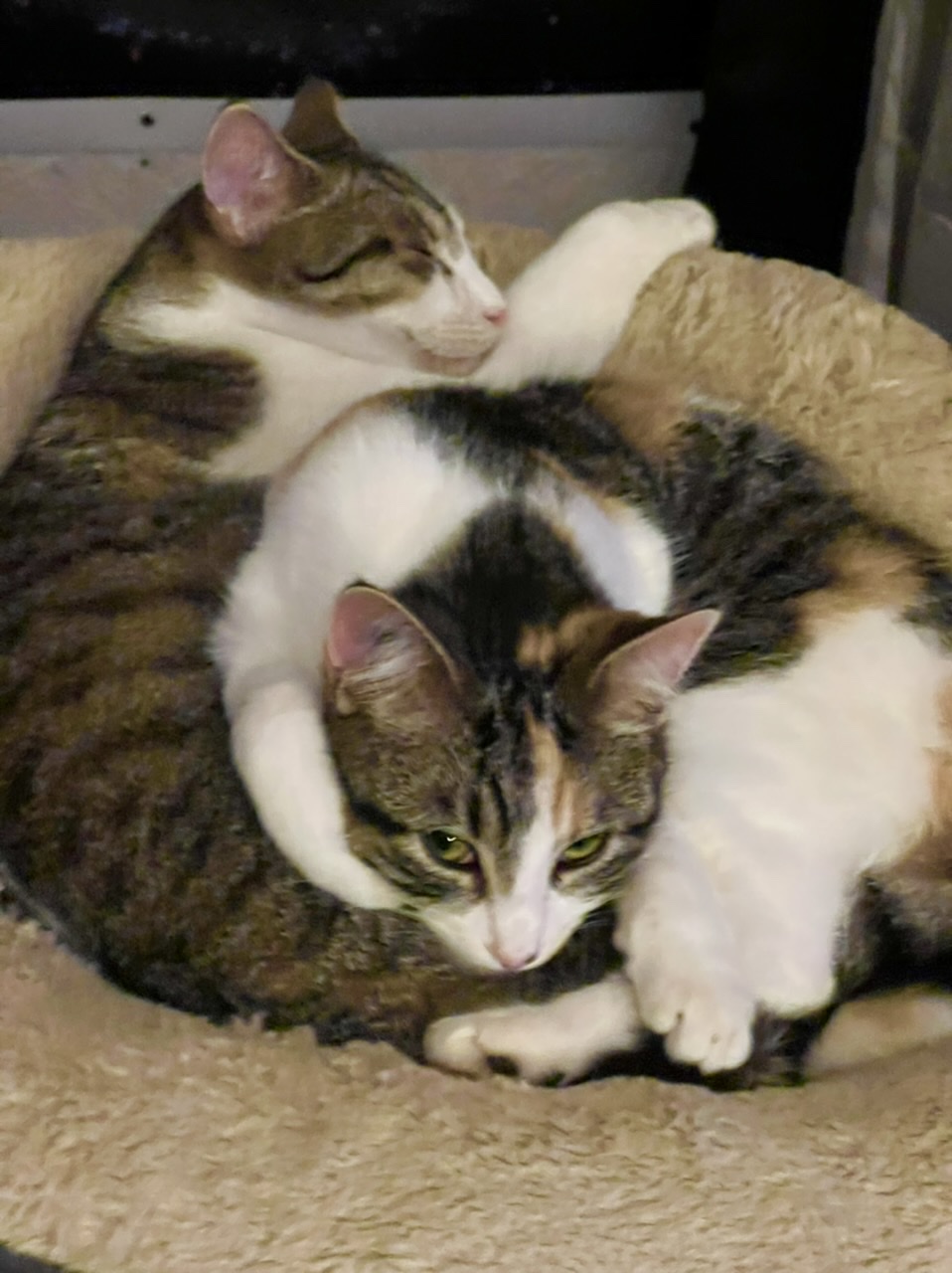 Lonie Baby et Rubyblanche