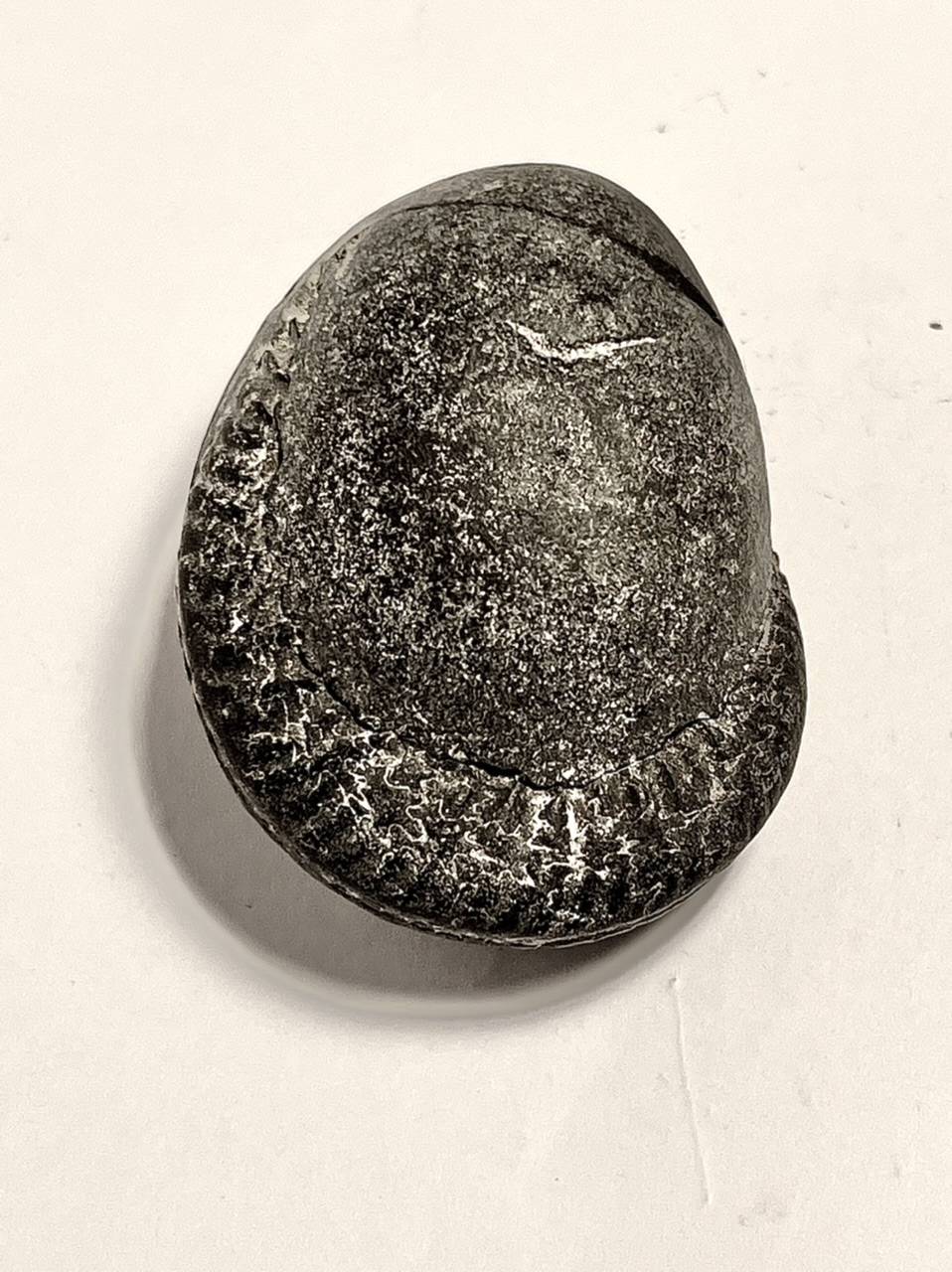 Caillou de rivire cachant une ammonite
