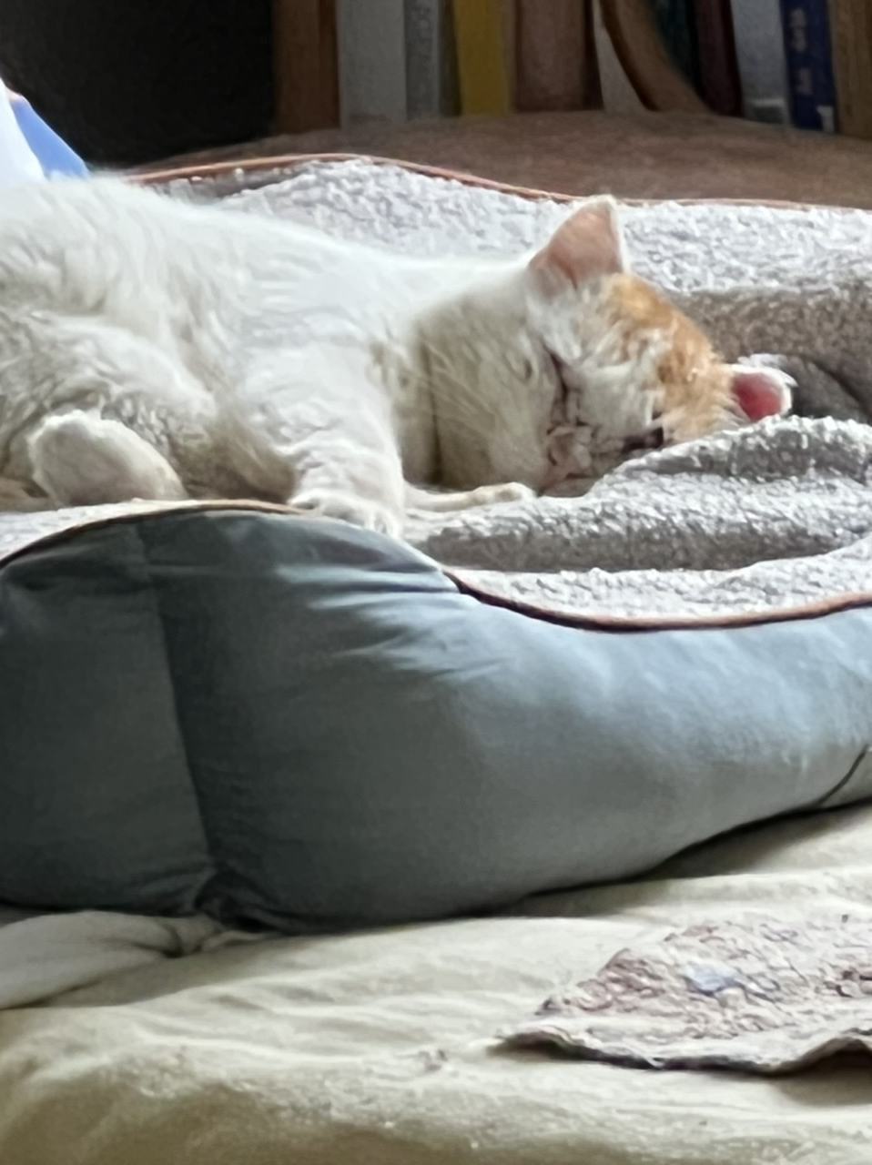 Jrme est rentr se reposer quelques instants dans la maison
