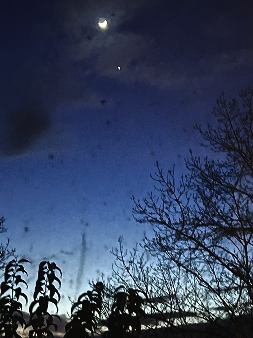 La Lune et la plante Vnus ce soir 24/3/2023  20h