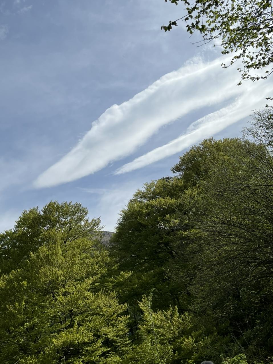 Un nuage affam
