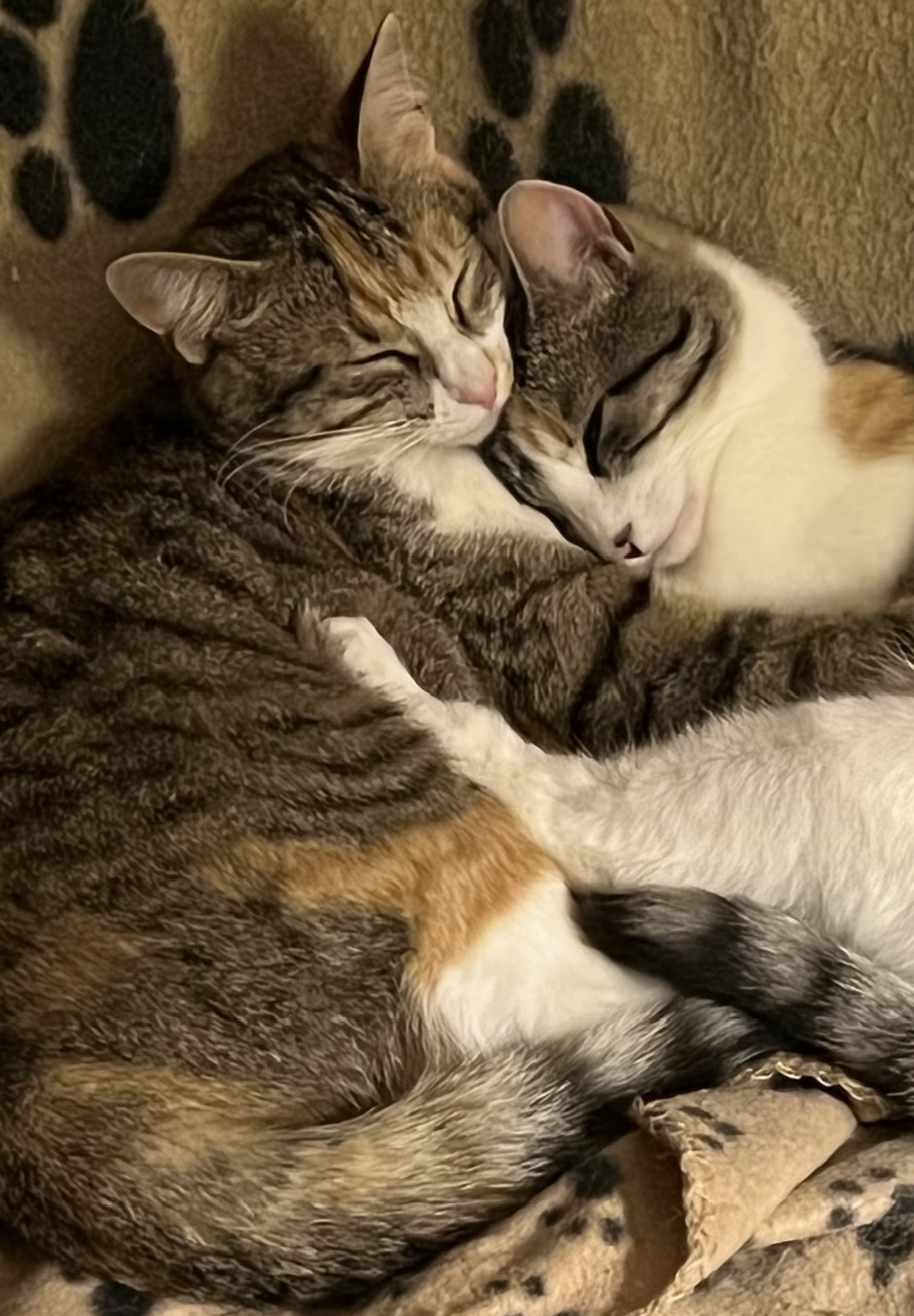 Rubychrome et Lonie baby