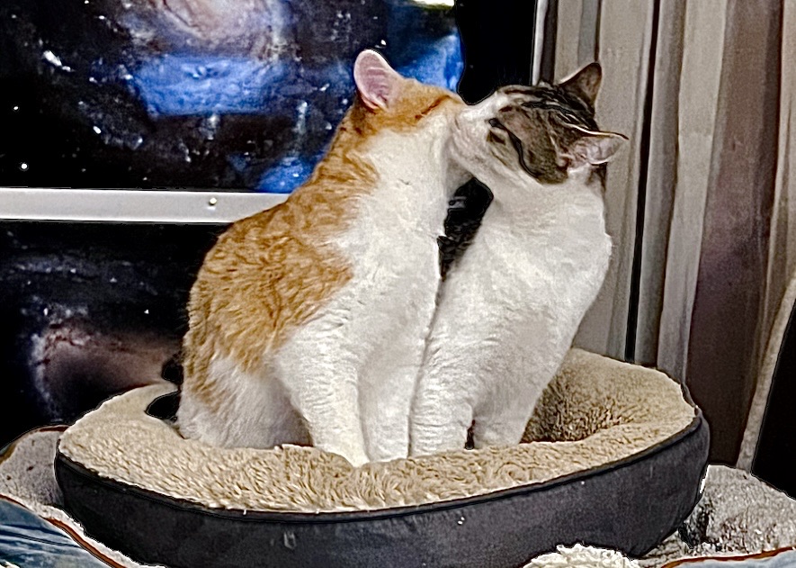 La bise du matin entre Louis et Rubyblanche