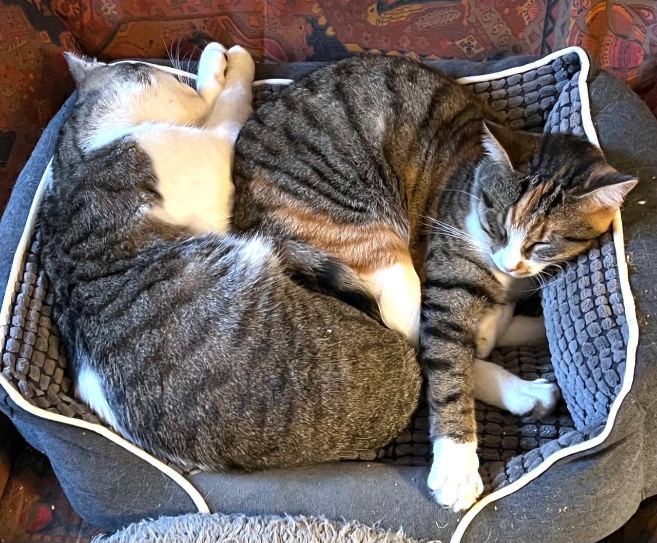 Marco et Rubychrome
