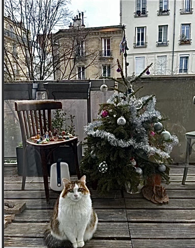Simba devant la crche et le sapin de Nol  2023