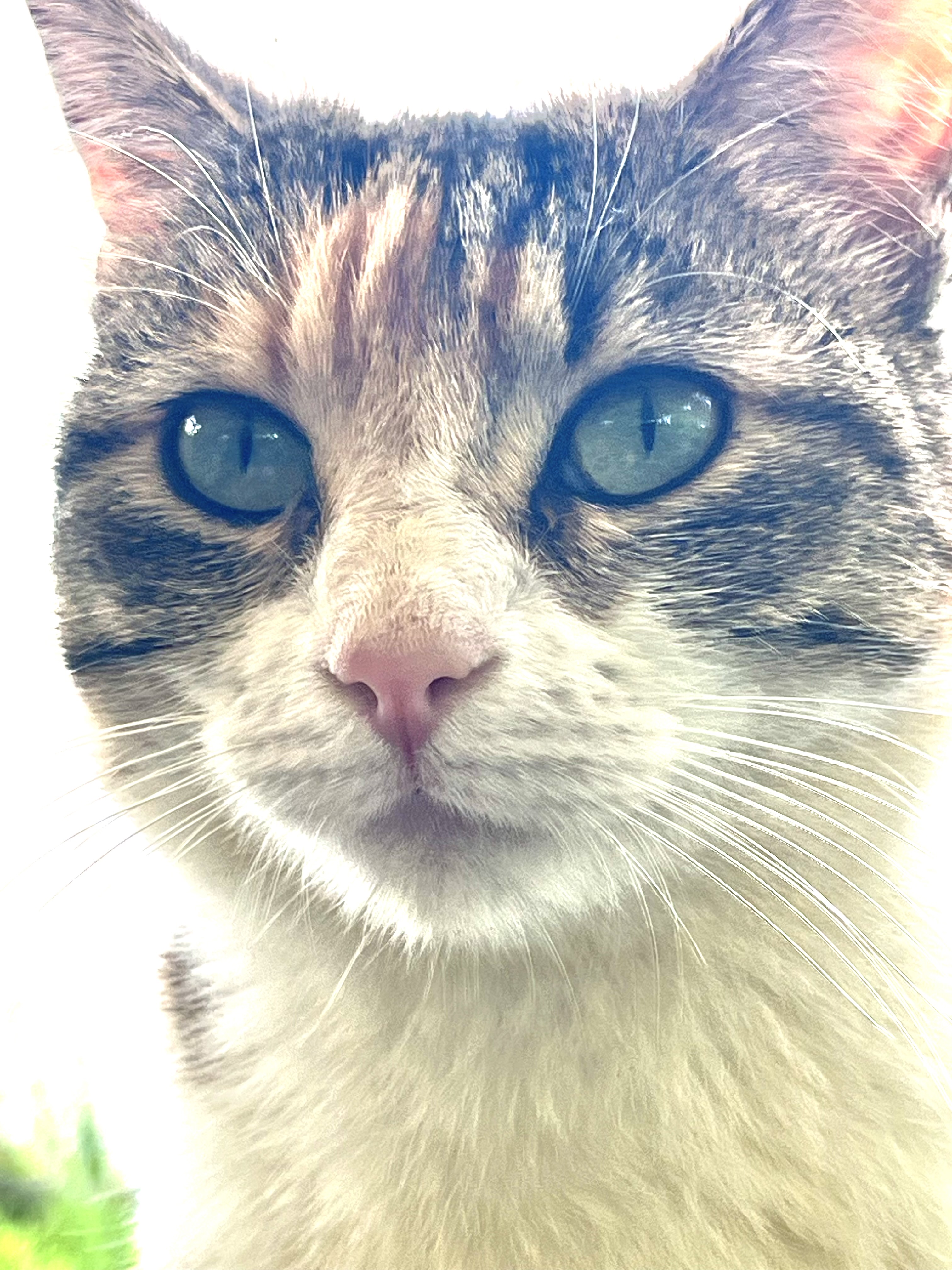 Ruby, fille de Inky