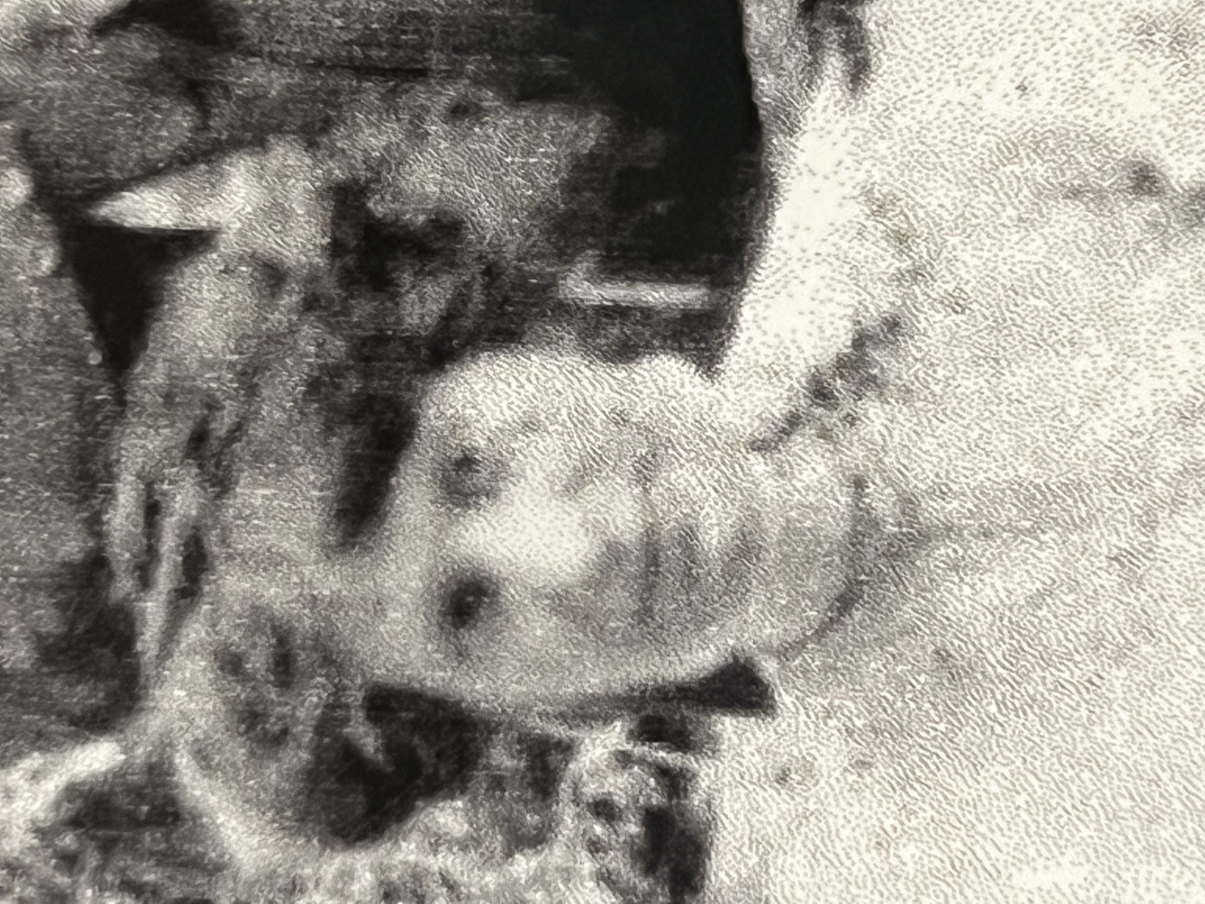 Marie Madeleine Lontine Sarrailh-Cabanne et De la Petite Maison  El Pati