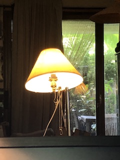 IMG_8218.jpeg