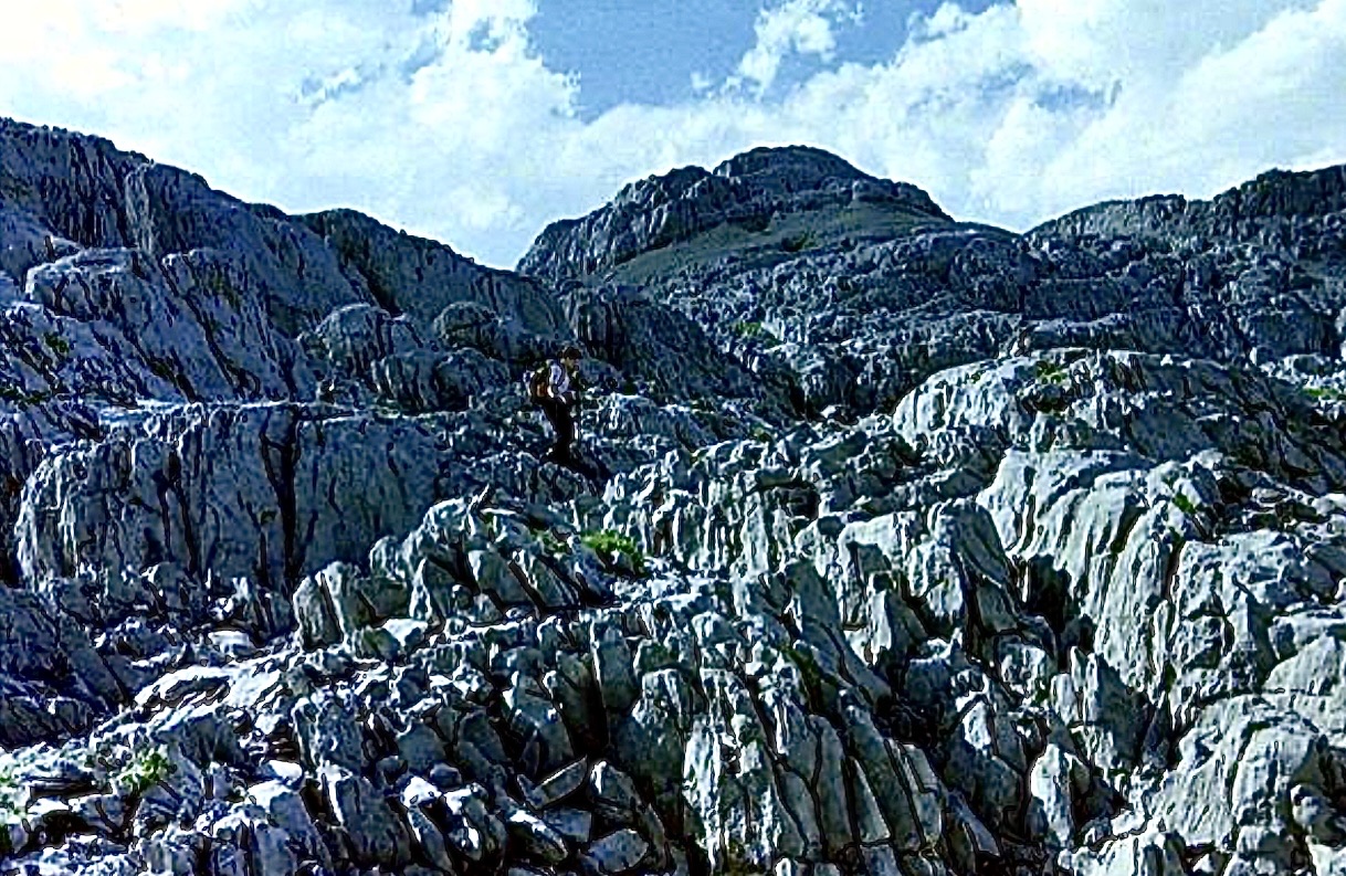 Salade de pierre (paysage karstique)