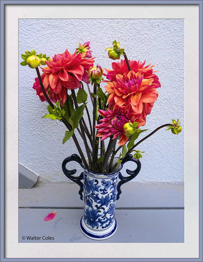 Flowers in vases 7-27020 (1) CC S2 Frame w.jpg