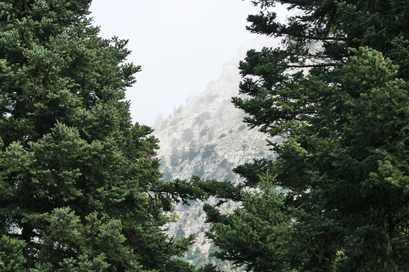 Parnassos Mountain, Greece