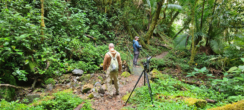 Birding the Tropical Montane Oak Cloud Forests at Savegre Hotel, San José, Costa Rica
