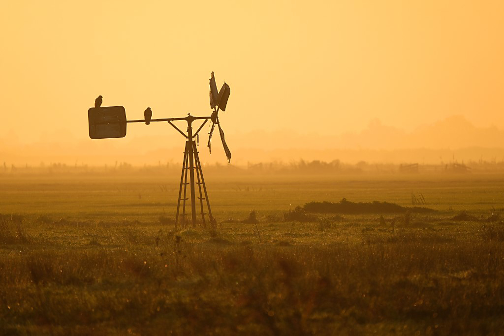 Zonsopkomst / Sunrise (Reeuwijk)