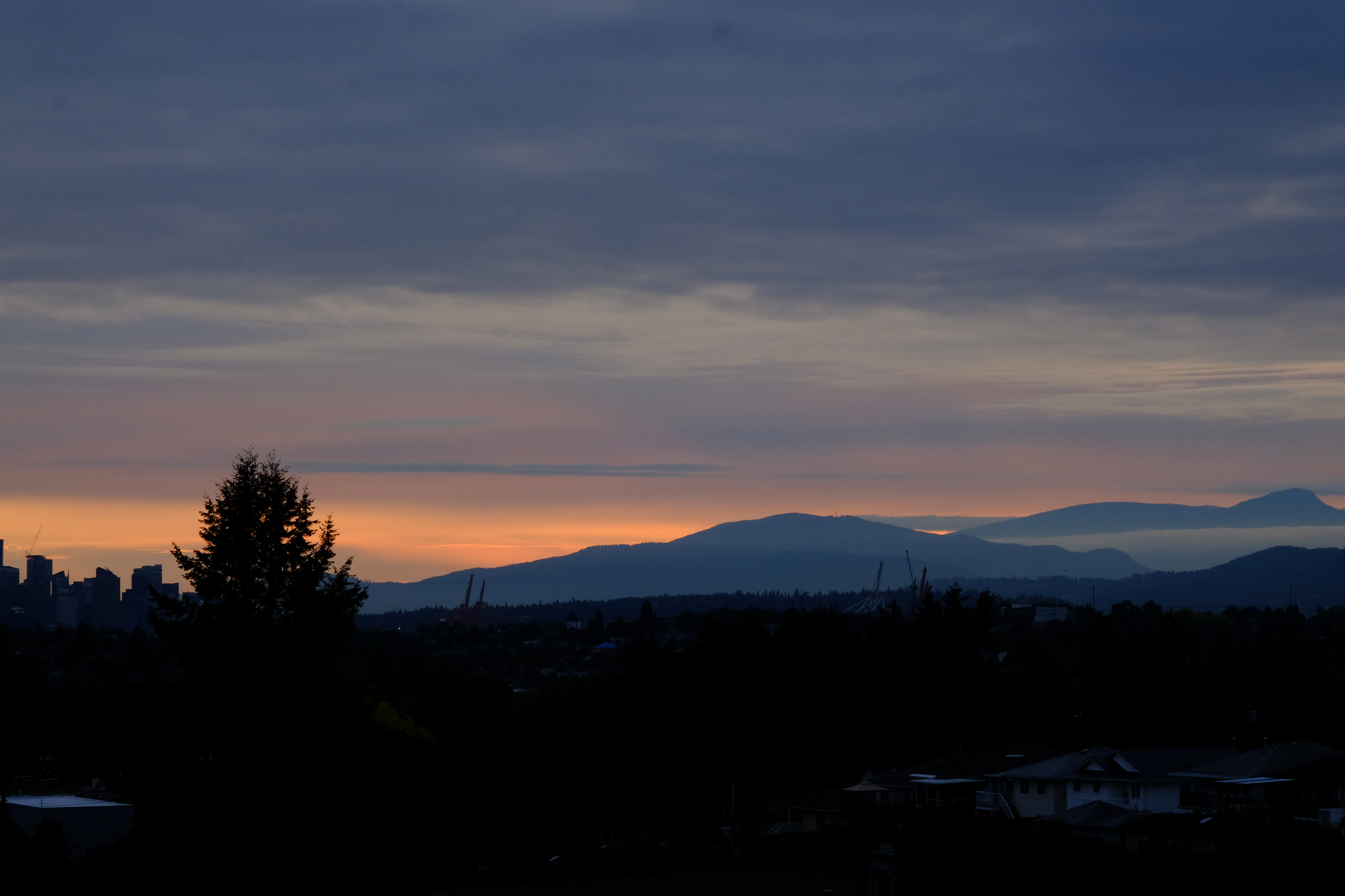 DSCF4414.JPG