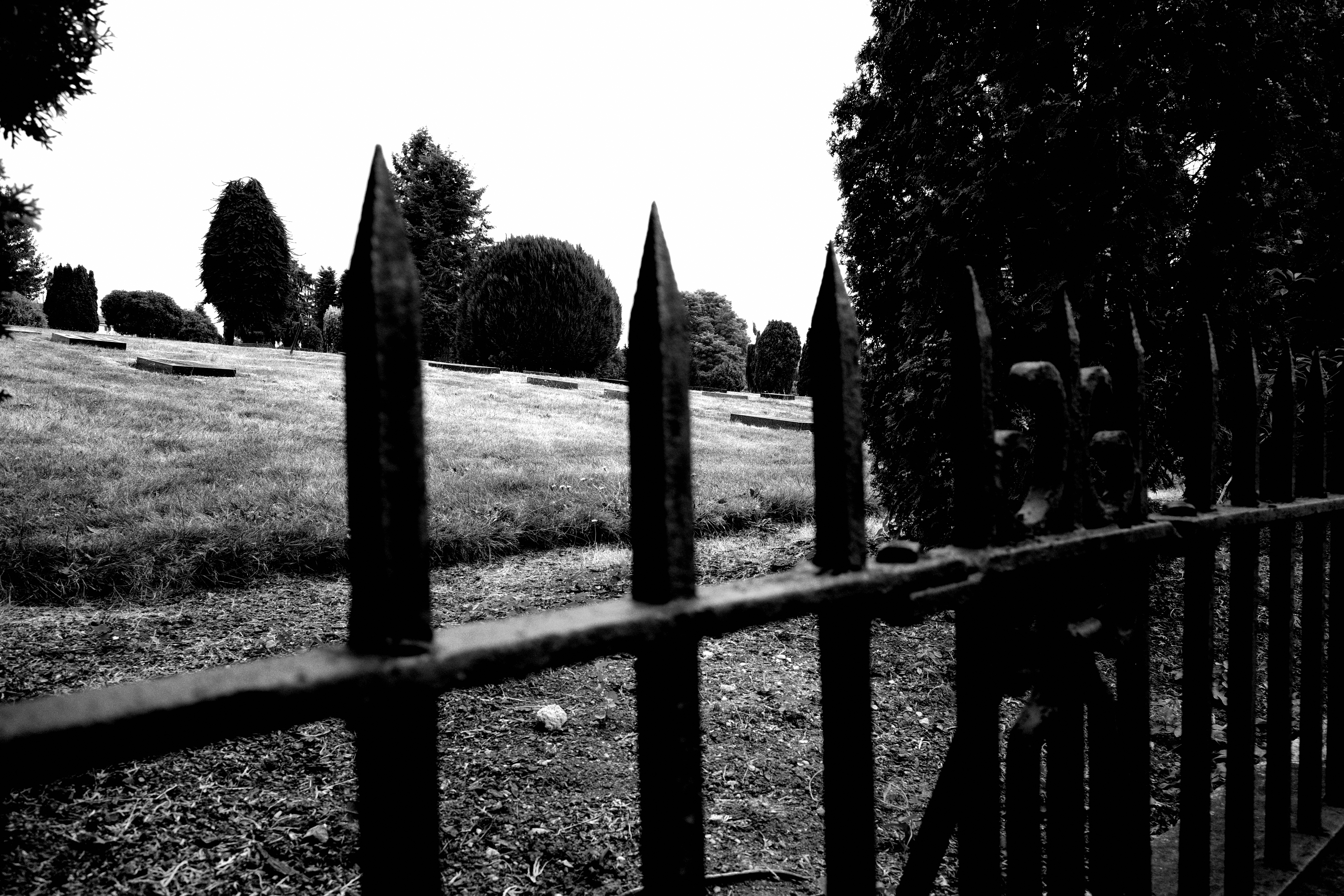 Imprisoned  forever