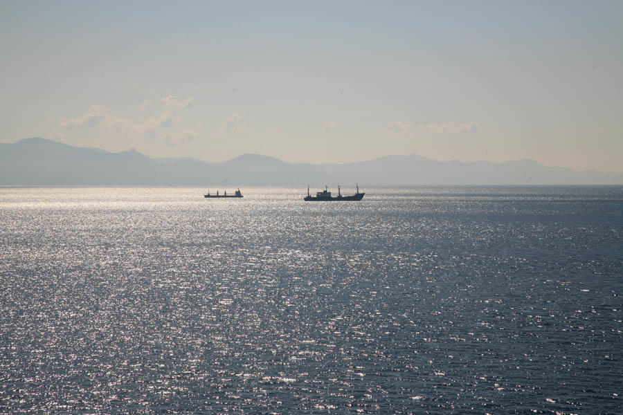 XIMG_2430.jpg