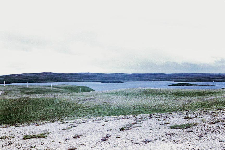 Blinn Lake and Bear Story