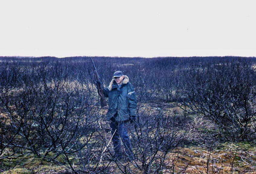 Alder