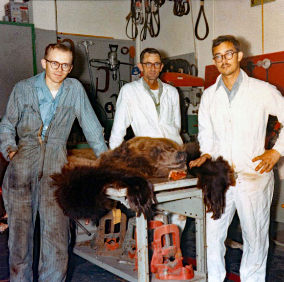 Bearskin