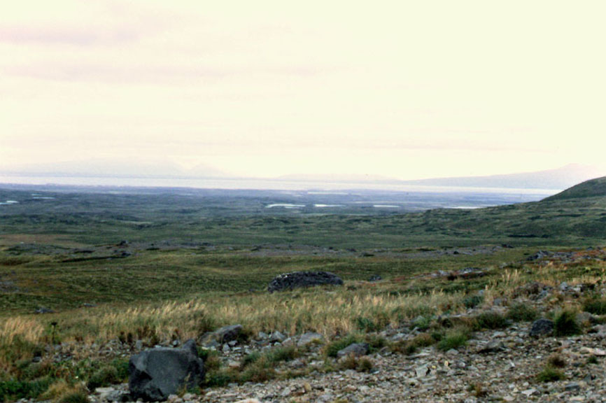 Bay and Town
