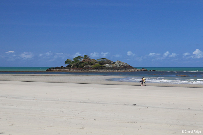 7167b-daintree.jpg