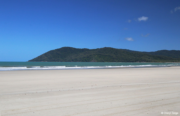 7168b-daintree.jpg