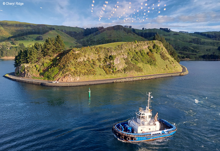 Port Chalmers early morning