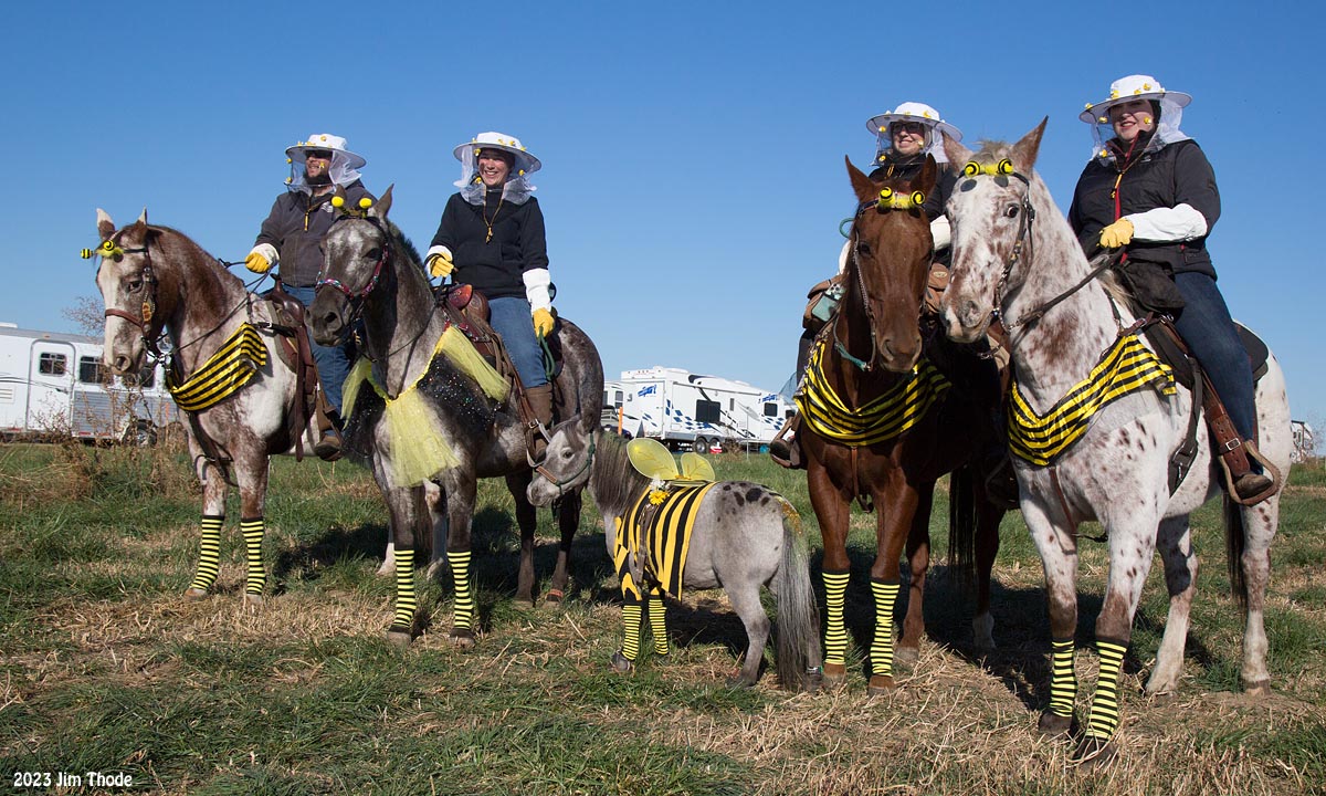 4th Place Costume, Swarm of Bees