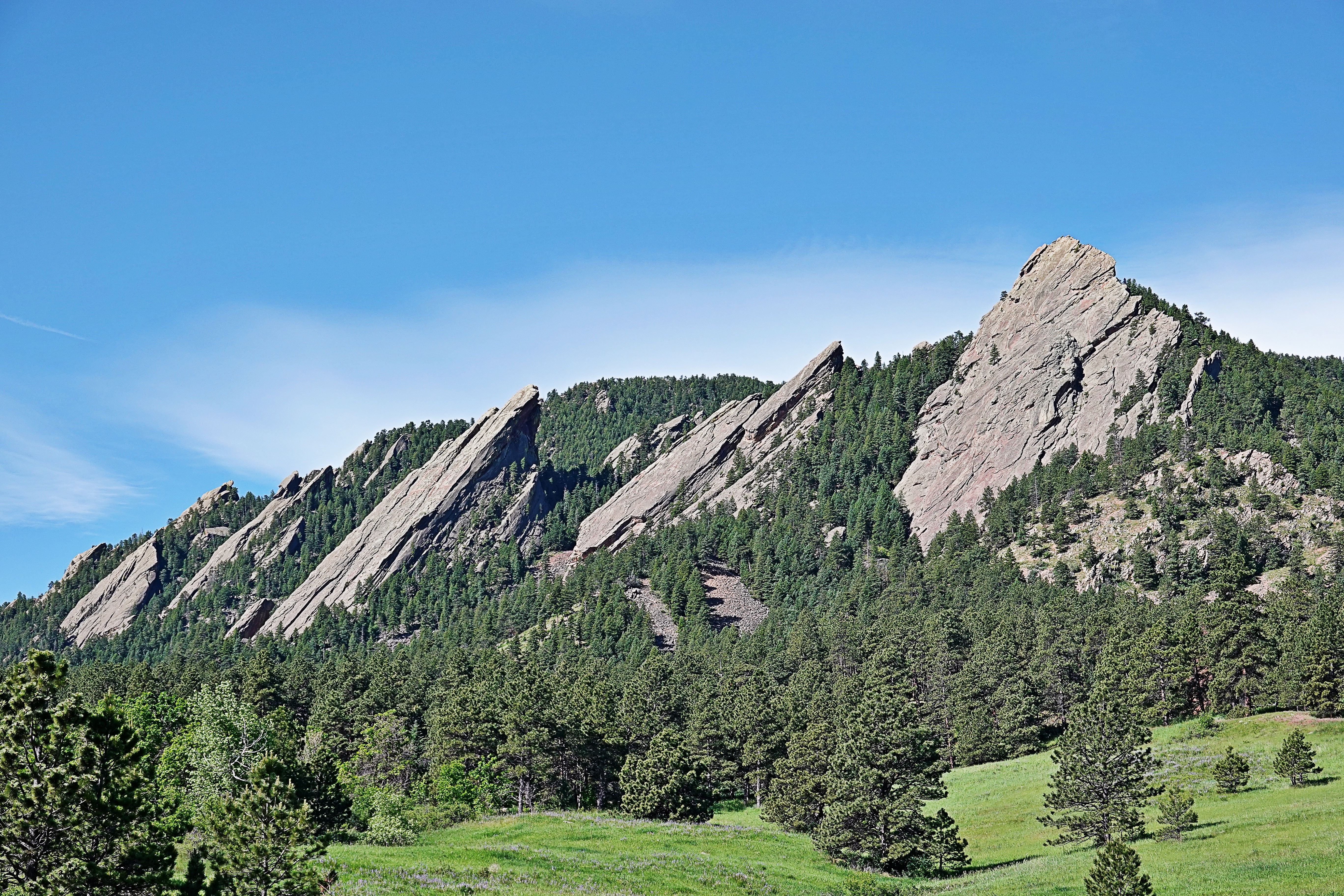 Flatirons in Spring