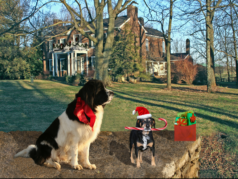 2006 Christmas card
