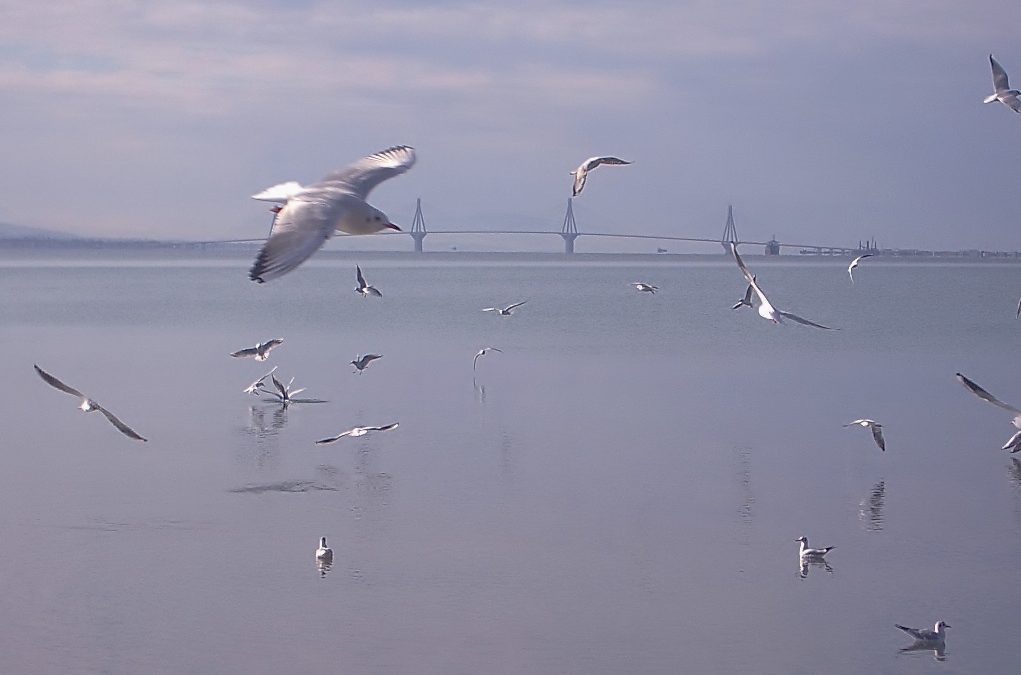 Nafpaktos-The bridge of Rio